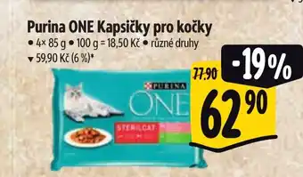 Albert Purina ONE Kapsičky pro kočky nabídka