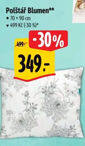 Albert Polštář Blumen nabídka