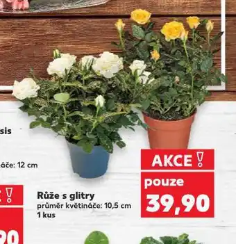 Kaufland Růže s glitry nabídka