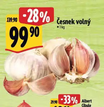Albert Česnek volný nabídka