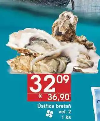 Jip Ústřice bretaň vel. 2, 1 ks nabídka