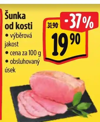 Albert Šunka od kosti nabídka