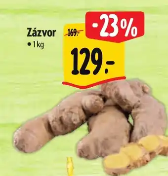 Albert Zázvor nabídka