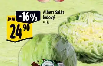 Albert Albert salát ledový 1ks nabídka