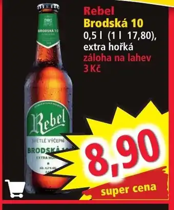 Norma Rebel Brodská 10 nabídka