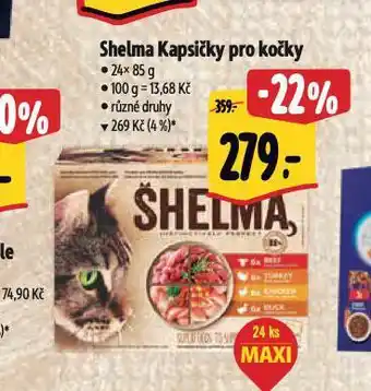Albert Shelma kapsičky pro kočky nabídka