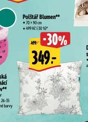 Albert Polštář nabídka