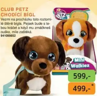 CLUB PETZ CHODÍCÍ BÍGL