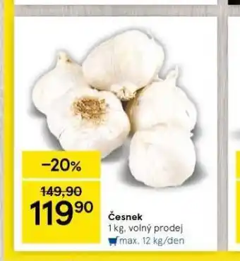 Česnek