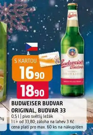 Terno Pivo budweiser budvar nabídka