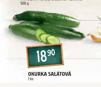 Terno Okurka salátová nabídka