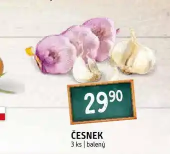 Terno Česnek nabídka