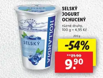Lidl SELSKÝ JOGURT OCHUCENÝ nabídka