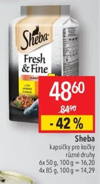 Globus Sheba nabídka