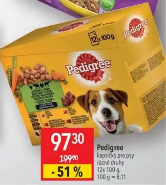 Globus Pedigree nabídka