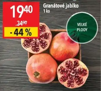 Globus Granátové jablko nabídka