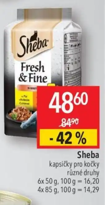 Globus Sheba nabídka