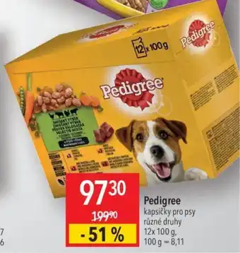 Globus Pedigree nabídka