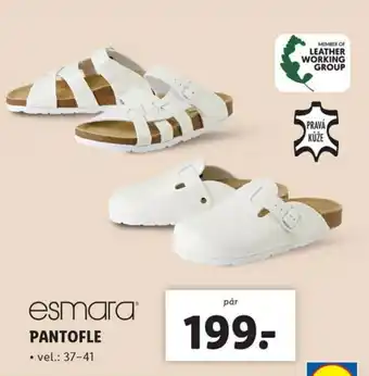 Lidl PANTOFLE nabídka