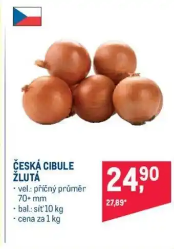 Makro ČESKÁ CIBULE ŽLUTÁ nabídka