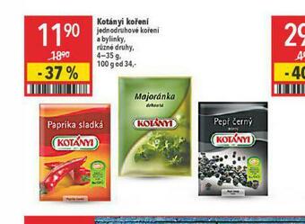 Globus Kotányi koření nabídka