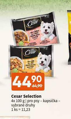 Terno Cesar selection kapsičky pro psy nabídka