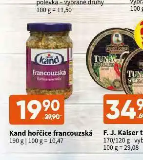 Terno Kand hořčice francouzská nabídka