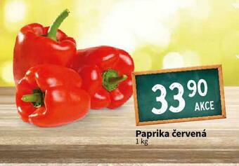 Terno Paprika červená nabídka