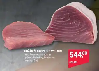 Makro TUŇÁK ŽLUTOPLOUTVÝ LOIN nabídka