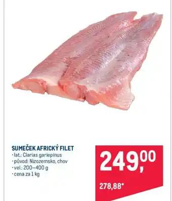 Makro SUMEČEK AFRICKÝ FILET nabídka