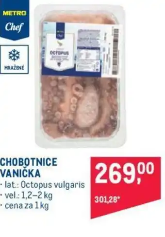 Makro CHOBOTNICE VANIČKA nabídka