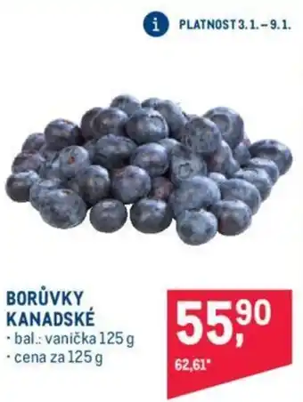 Makro BORŮVKY KANADSKÉ nabídka