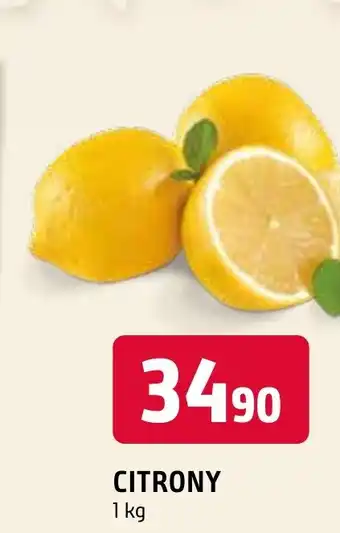 Terno CITRONY nabídka