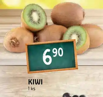 Terno KIWI nabídka