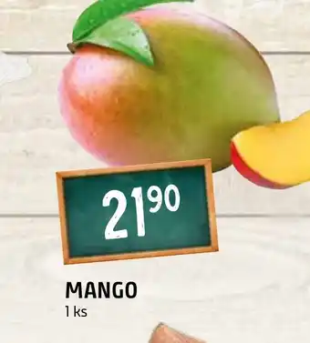 Terno MANGO nabídka
