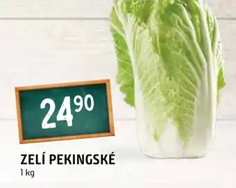 Terno ZELÍ PEKINGSKÉ nabídka