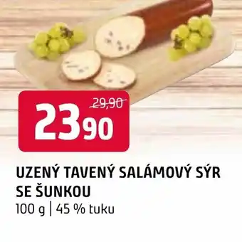 Terno UZENÝ TAVENÝ SALÁMOVÝ SÝR SE ŠUNKOU nabídka