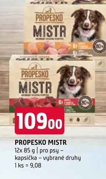 Terno PROPESKO MISTR nabídka