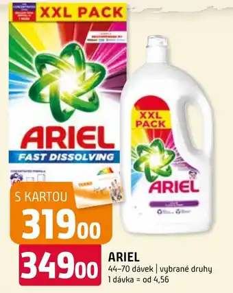 Terno ARIEL nabídka