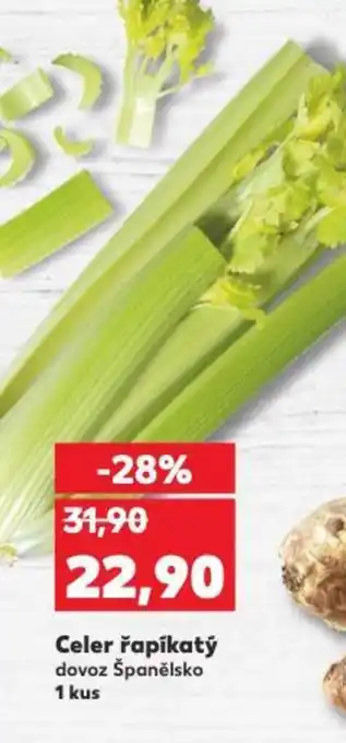 Kaufland Celer řapíkatý nabídka
