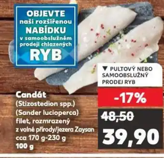 Kaufland Candát nabídka