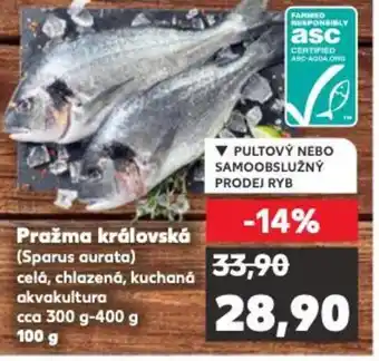Kaufland Pražma královská nabídka