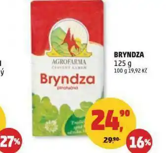 Penny Market Bryndza nabídka