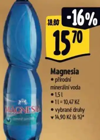 Albert Magnesia nabídka