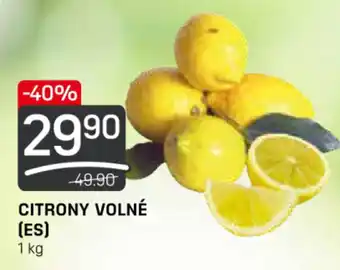 Flop CITRONY VOLNÉ nabídka