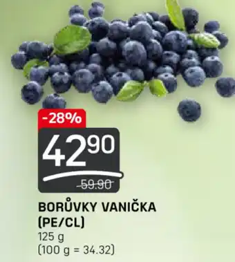 Flop BORŮVKY VANIČKA (PE/CL) nabídka