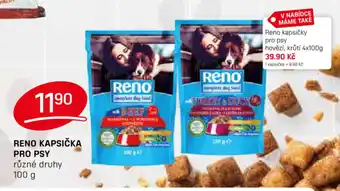 Flop RENO KAPSIČKA PRO PSY nabídka