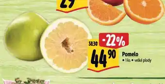 Albert Pomelo nabídka