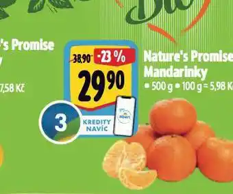 Albert Mandarinky nabídka