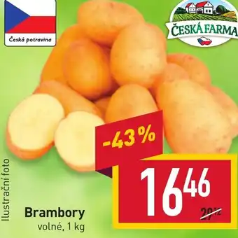 Billa Brambory nabídka